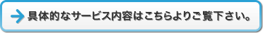����Ū�ʥ����ӥ����ƤϤ������ꤴ����������