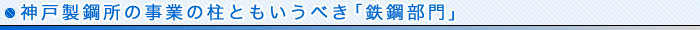 神戸製鋼所の事業の柱ともいうべき「鉄鋼部門」