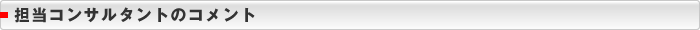 担当コンサルタントのコメント